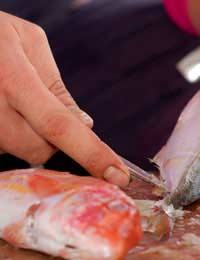 Preparing Freshly Caught Fish