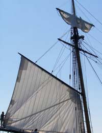 Sailing Rig Types Types Of Sailing Rig