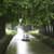 Exploring France's Canal du Midi